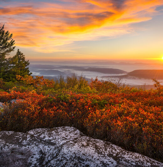 Photo on top of a mountain in Shenandoah, Virginia