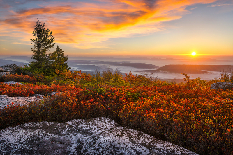 Photo on top of a mountain in Shenandoah, Virginia