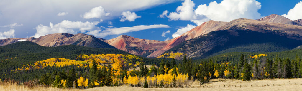 Photo of a mountain range in Colorado with green and yellow trees