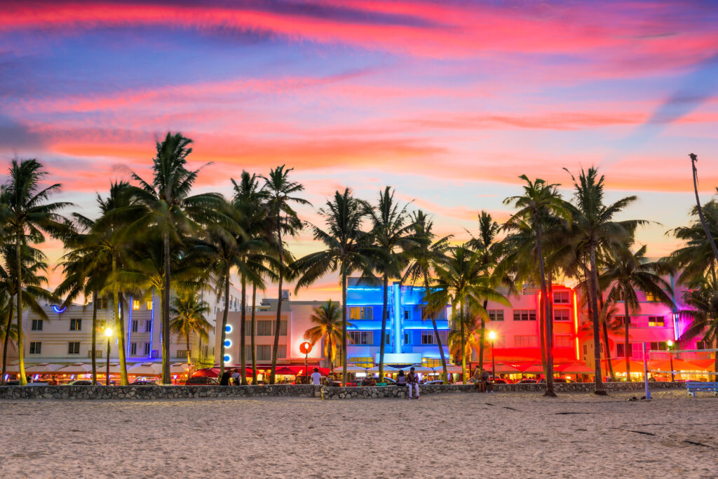 Photo of palm trees in Florida