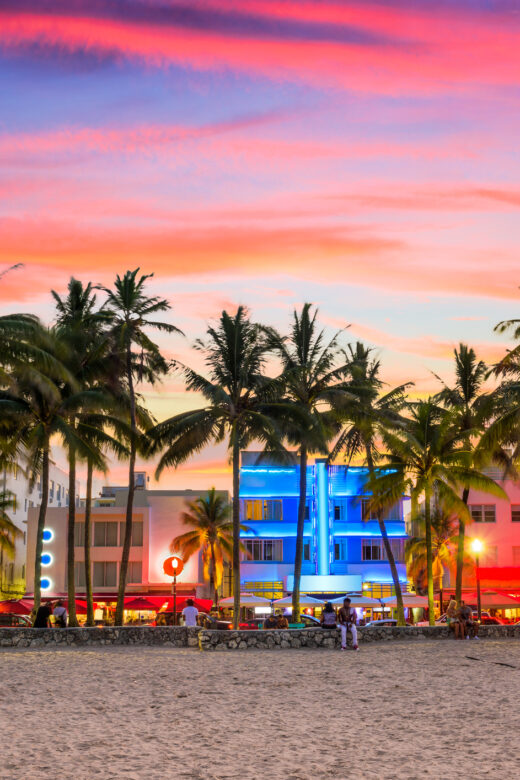 Photo of palm trees in Florida