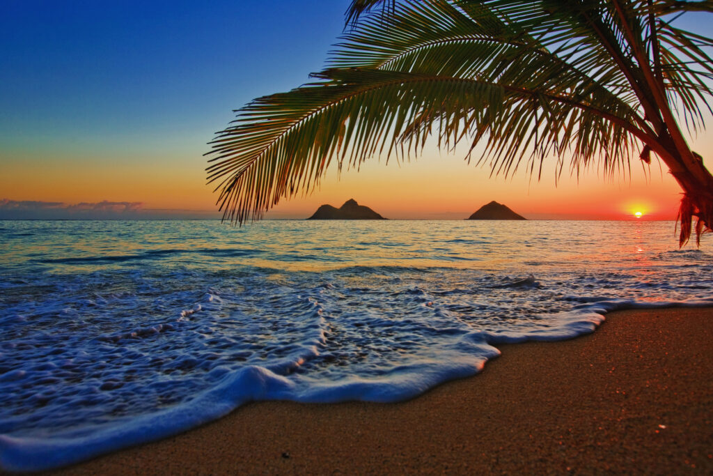 Palm tree on Hawaii beach with mountain peak in the background and a sunset. Insurance can be difficult but stay relaxed.